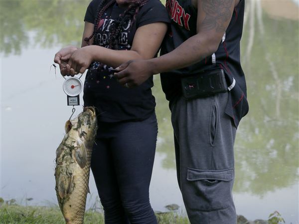 9-year-old reels in 28-inch carp at fishing rodeo competition