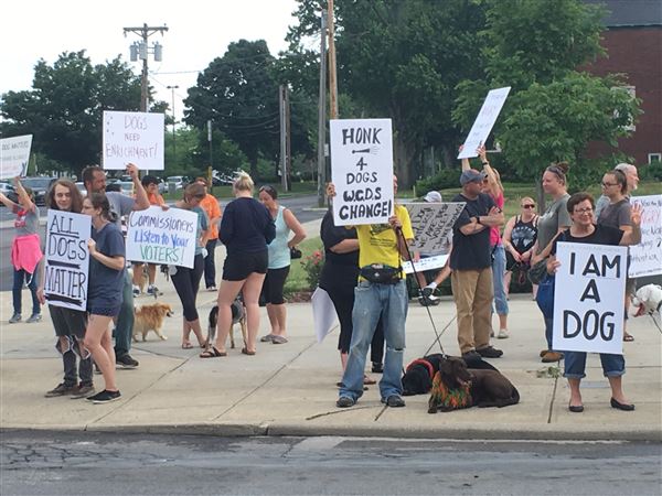 Dog-rights rally in Bowling Green protests Wood County Dog Shelter practices