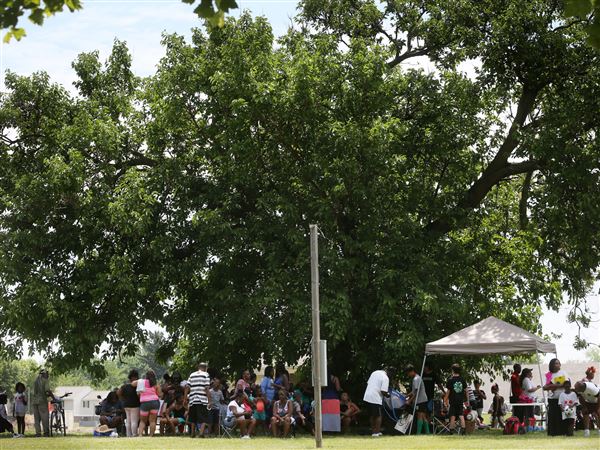 PHOTO GALLERY: Seventh Annual Smith Fest