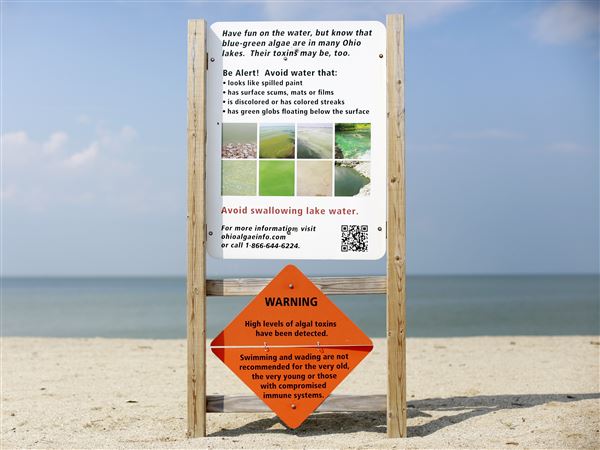 Bacteria again foul western Lake Erie beaches