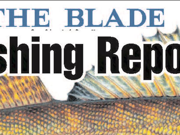 Blade Fishing Report: Limit catches still taking place when wind cooperates