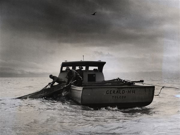 Through ups and downs, Lake Erie remains gold mine for walleye