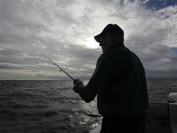 Lake Erie remains gold mine for fish