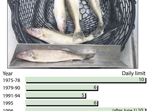 Through ups and downs of history, Lake Erie remains gold mine for fish