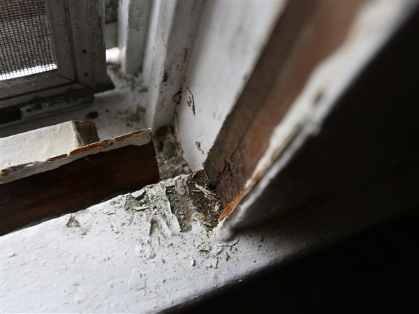 Toledo's halted lead law leaves many in frustrated limbo