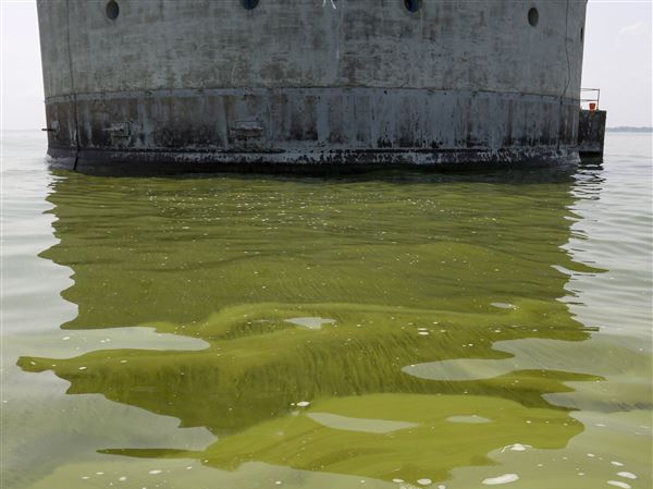 Toledo-area group says Lake Erie bill doesn't go far enough