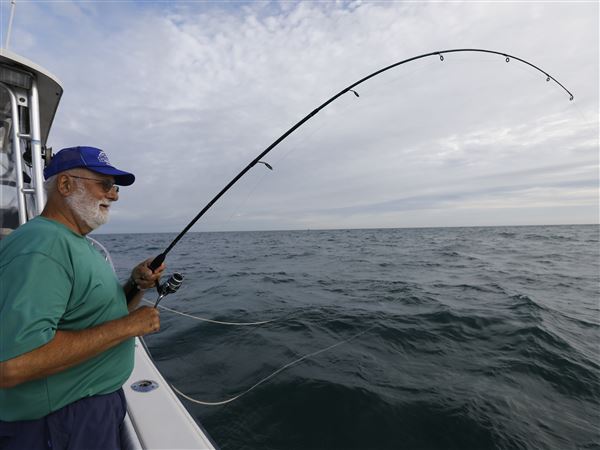 Blade Fishing Report: Mayfly hatch slows up walleye fishing
