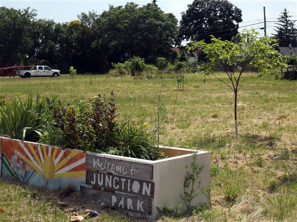 Fewer parks, less grass to cut
