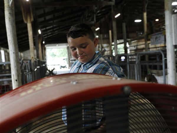 Animals, rides excite at Lucas County Fair