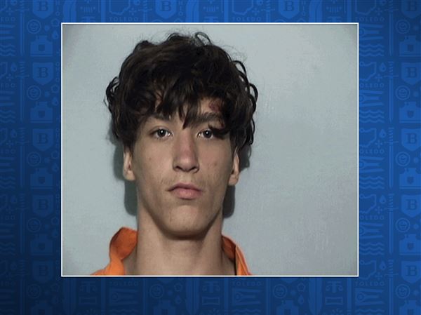 Oregon teen sentenced to community control for role in setting fire