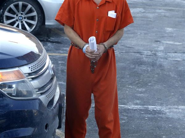 Toledoan at center of fake ID case seeks to perform volunteer work