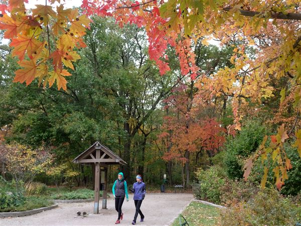 Close to 300 completed Metroparks Toledo Trail Challenge