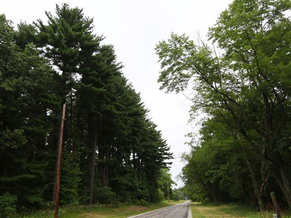 Controversial decision appearing to pay off for Oak Openings