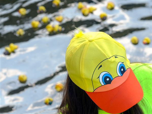 PHOTO GALLERY: Ducky Dash in Monroe, Mich.