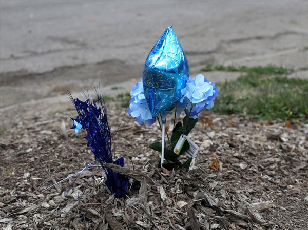 North Toledo neighborhood calm following Friday's fatal shooting