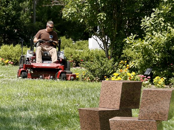 Green with envy? Experts offer tips for keeping laws lush, colorful