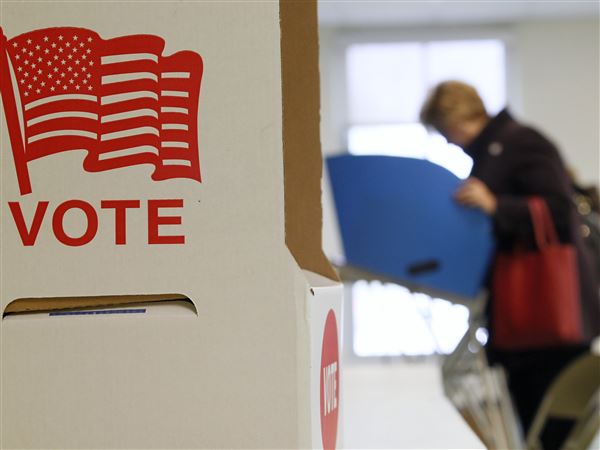 Political upstart wins Bedford Township Republican primary