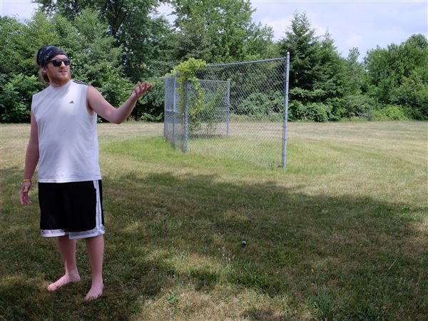 Developer bringing baseball fields to former TPS site