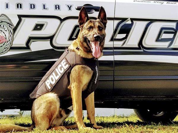 Nonprofit donates vest to Findlay police dog