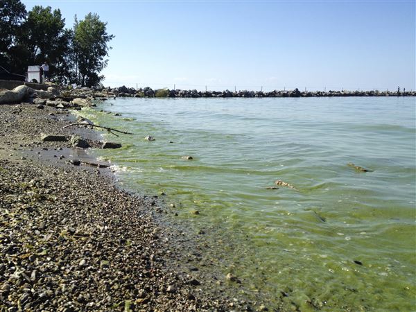 Judge allows entities to join Lake Erie lawsuit
