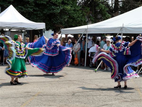PHOTO GALLERY: Birmingham Ethnic Festival takes hold in East Toledo
