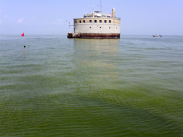 2018 algal bloom roared in like a lion, went out like a lamb