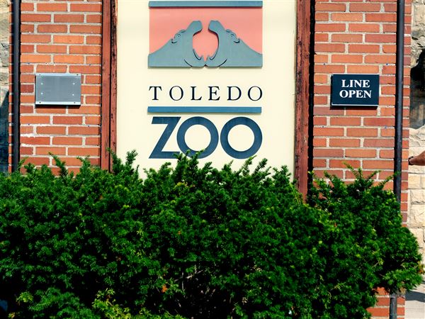 Zoo discusses bites from poisonous snakes