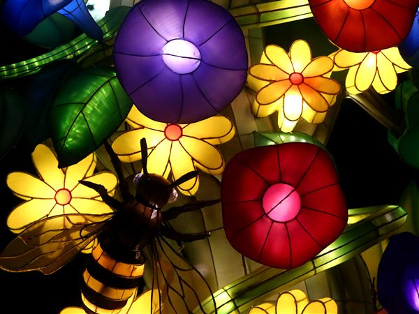 Luminous Nights to return at the Toledo Zoo