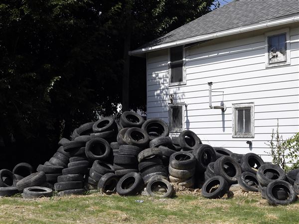 City forms task force to fight illegal dumping
