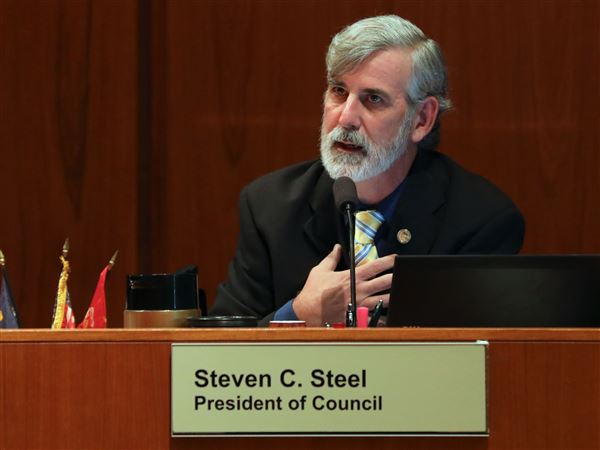 Steel wrote job description for City Council chief of staff position