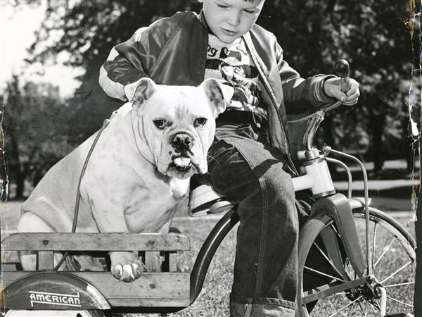 Monday Memories: A boy and his dog