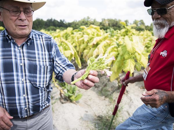 Toledo coalition views southern labor camps