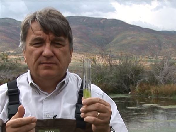 Film explores theory that enviro toxins are linked to ALS, Parkinson's, Alzheimers