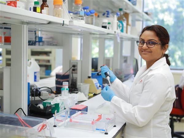 UT researchers win grant to study connection between gut bacteria, high blood pressure
