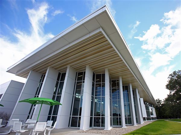 Library to host film series