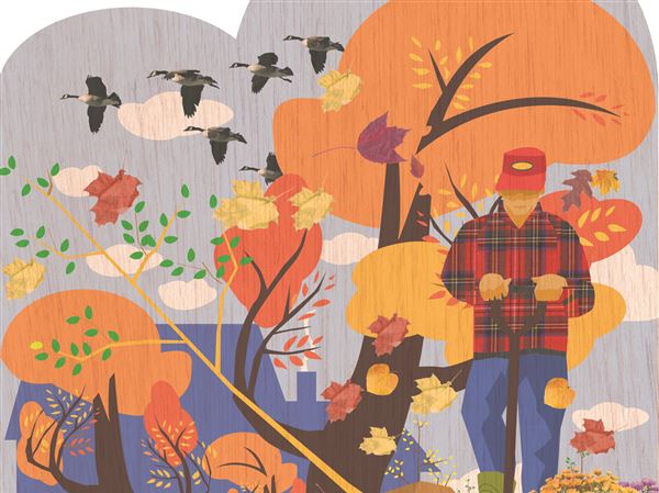 Fall slumber: There is more to do than putting a garden to bed