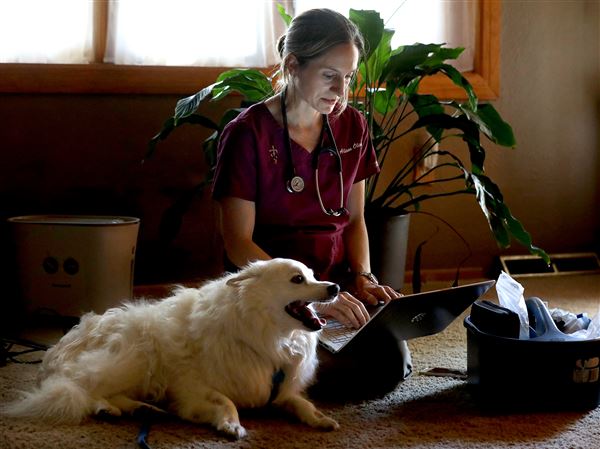 Losing a pet as a child put woman on career path