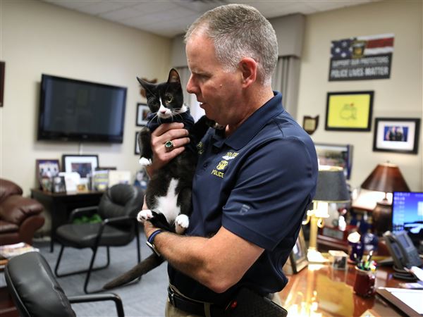 PHOTO GALLERY: TPD cat visits Safety Building