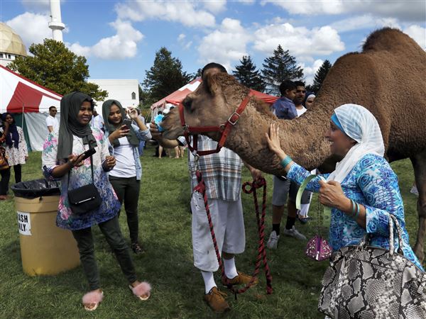 Coming together: International Festival a chance to explore Islam