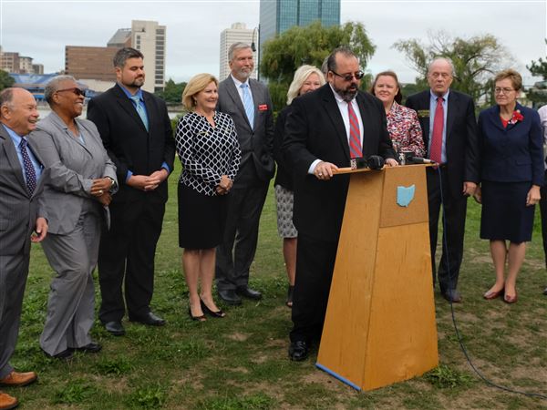 County Democrats present platform for November races