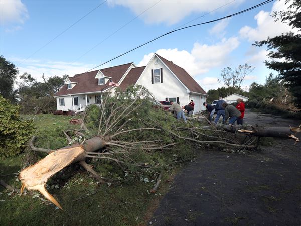 Tornado takes out trees, homes in Michigan