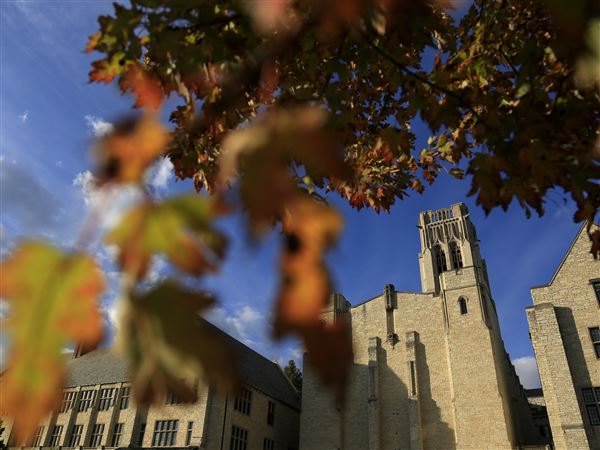 Suspended UT student files suit over sex assault investigation