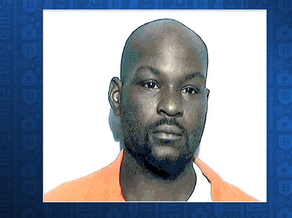 Toledo owner of emaciated dog charged with felony animal cruelty