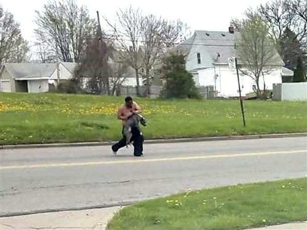 Jail sentence marks rare outcome in Toledo animal cruelty case