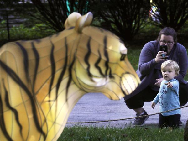 Celebration of lights, lanterns returns to Toledo Zoo