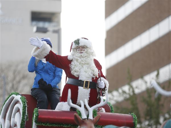 Gradkowski named grand marshal for holiday parade