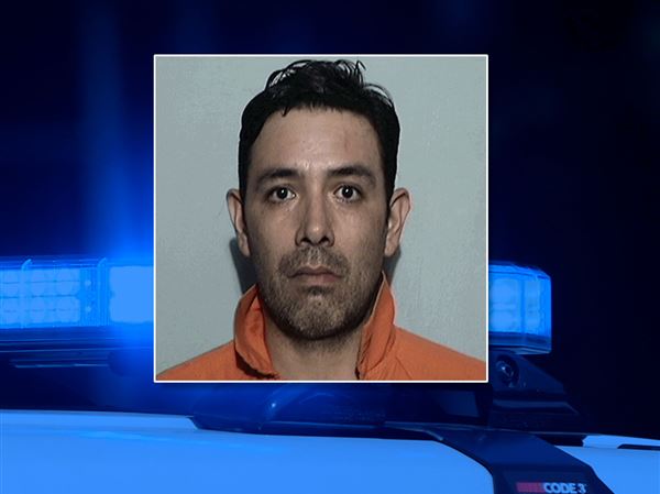 Michigan man faces rape charge