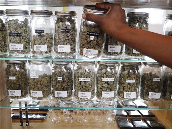Michigan voters to weigh in on recreational marijauna