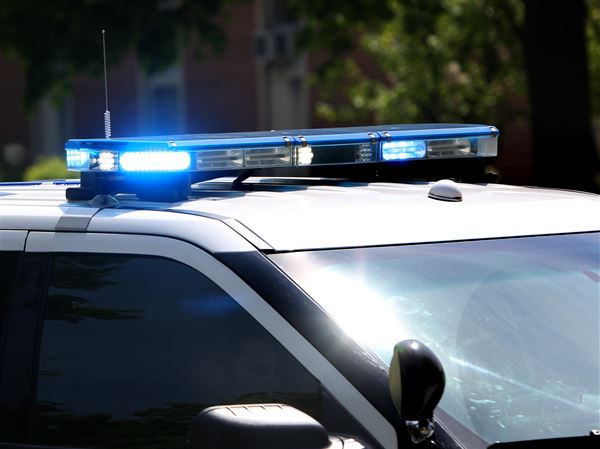 Two men face felony charges for robbing, shooting at people