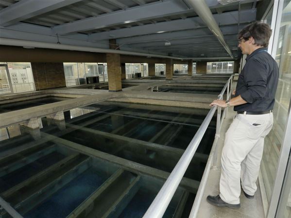Collins Park Water Treatment Plant upgrades on schedule
